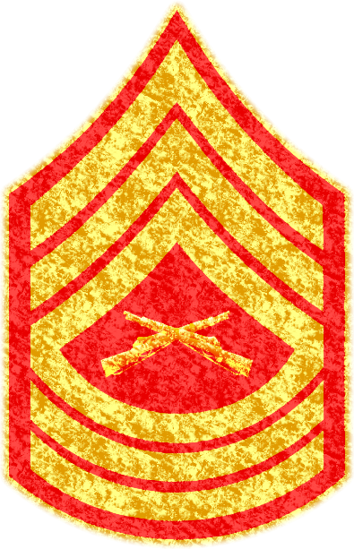 Master Sergeant insignia