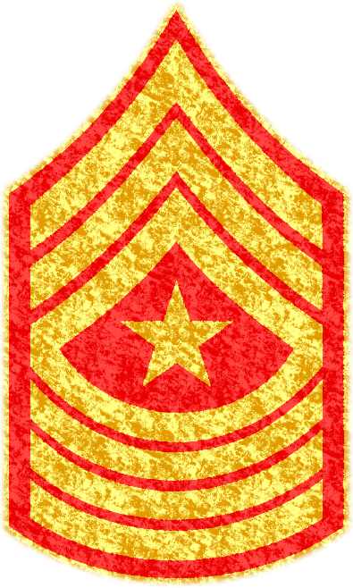 Sergeant Major insignia