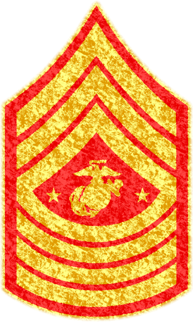 Sergeant Major of Black Squad insignia