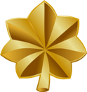 Major insignia